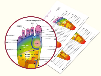 Foot Reflex Chart Plantar New.jpg